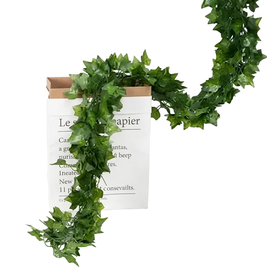 Ivy Leaf Vine
