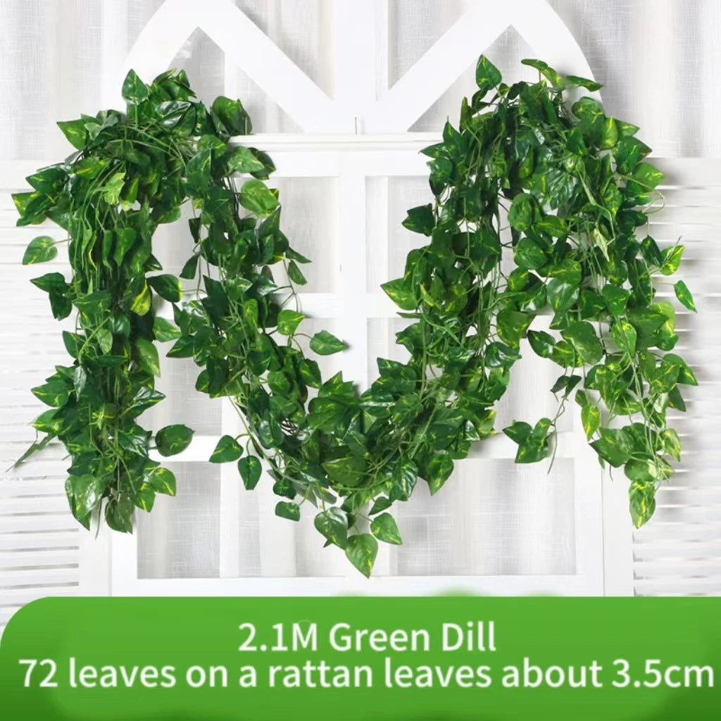 Ivy Leaf Vine
