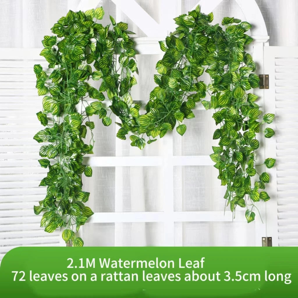 Ivy Leaf Vine