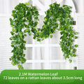Ivy Leaf Vine