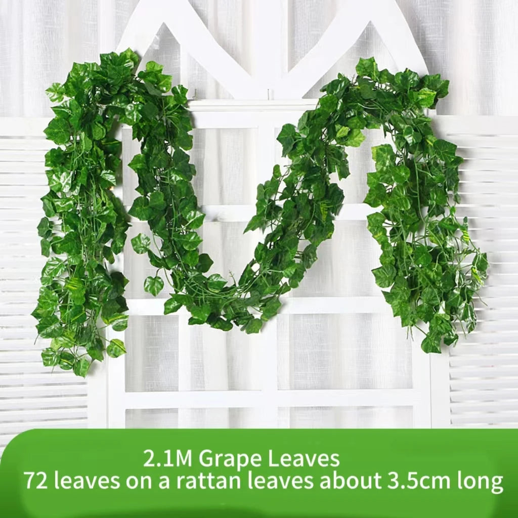 Ivy Leaf Vine